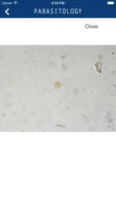Parasitology screenshot 2