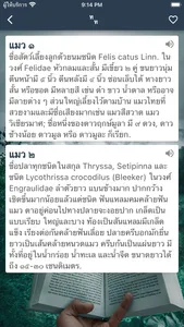 พจนานุกรม ดิกชันนารี ไทยอังกฤษ screenshot 1