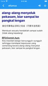 eKamus 马来文字典 Malay Dictionary screenshot 2