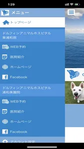 ドルフィンアニマルホスピタル screenshot 1