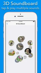 200+ Sounds of Birds screenshot 2