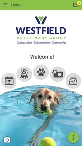 WestfieldVet screenshot 0