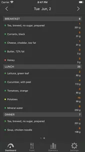 Low Carb (Kremlin) diet screenshot 1