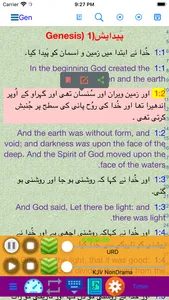 Urdu English Audio Holy Bible screenshot 0