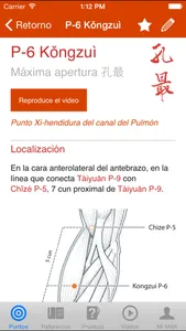 Un Manual de Acupuntura (A Manual of Acupuncture) screenshot 1