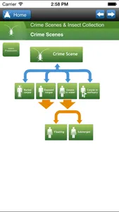 SmartInsects screenshot 1