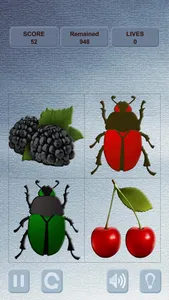 Berries and Bugs screenshot 0