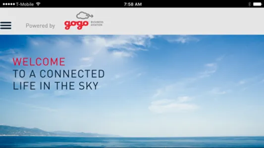 Gogo Vision (Biz Av) screenshot 0