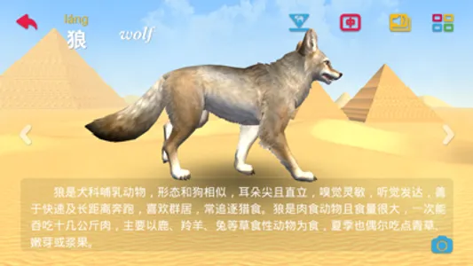 Amazing ZooⅡ-3D-AR Animal Card screenshot 2