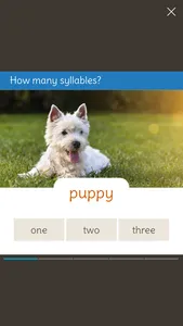 SPaG Bronze: KS1 screenshot 4
