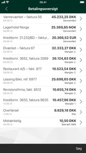 Djurslands Bank Erhverv screenshot 4