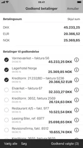 Mobilbank Erhverv screenshot 3