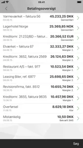 Mobilbank Erhverv screenshot 4