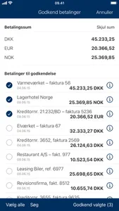 Sydbanks MobilBank Erhverv screenshot 3