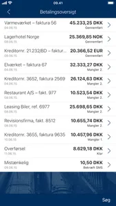 Sydbanks MobilBank Erhverv screenshot 4