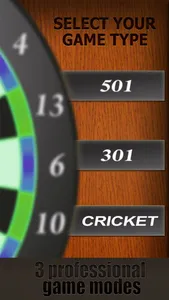 Professional Darts 3D screenshot 1