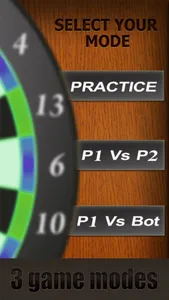 Professional Darts 3D screenshot 2