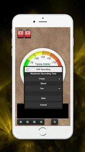 Tesla - Metal detector and Magnetic field recorder screenshot 3