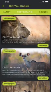 Did you know: African Wildlife screenshot 1