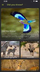 Did you know: African Wildlife screenshot 2