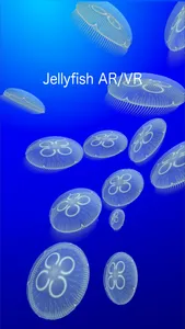 Jellyfish AR/VR screenshot 0