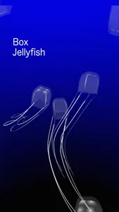 Jellyfish AR/VR screenshot 2