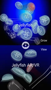 Jellyfish AR/VR screenshot 4