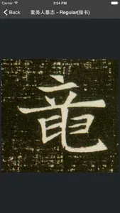 Yunzhang calligraphy | 云章书法字典 screenshot 4