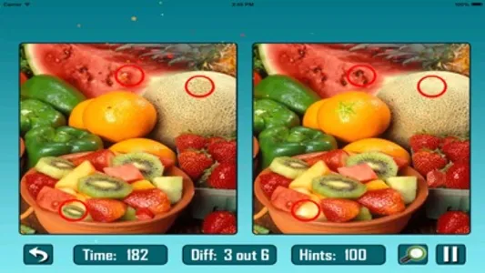 Find the Differences : Spot the Differences - 6 Different screenshot 0