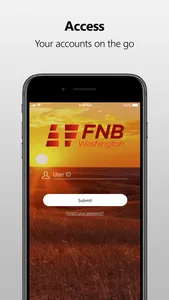 FNB Washington MB screenshot 0