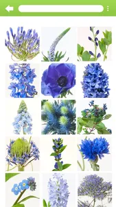 InfoFlowers screenshot 1