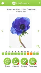 InfoFlowers screenshot 2