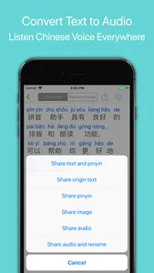 Pinyin Helper Pro screenshot 2