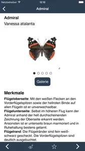 Tagaktive Schmetterlinge screenshot 2