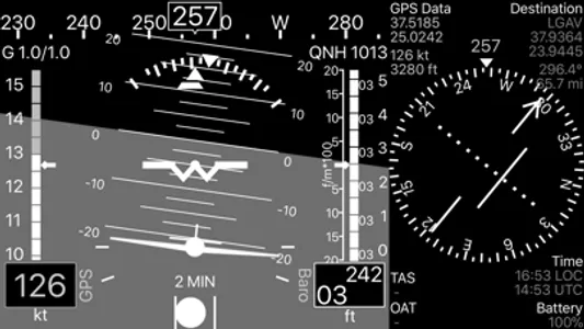 A-EFIS Black and White screenshot 9