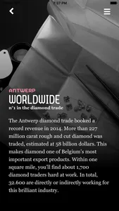 Antwerp Loves Diamonds screenshot 3