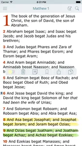 Holy Bible. New Testament. The King James Version screenshot 0