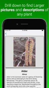 House Plant Dictionary Pro screenshot 1