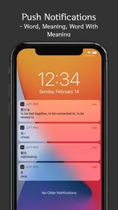 Japanese Vocab Lite screenshot 4