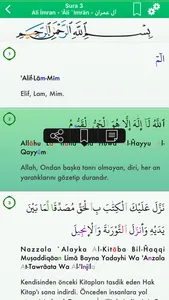 Quran in Turkish, Arabic screenshot 1
