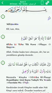 Quran in Turkish, Arabic screenshot 2