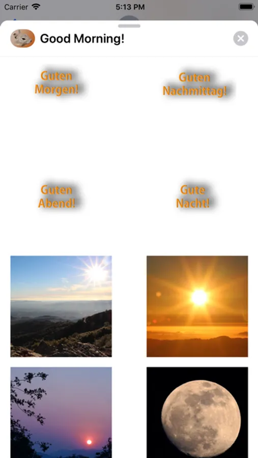Screenshot 9