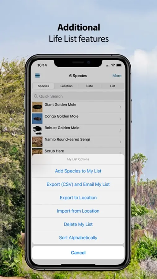 Screenshot 8