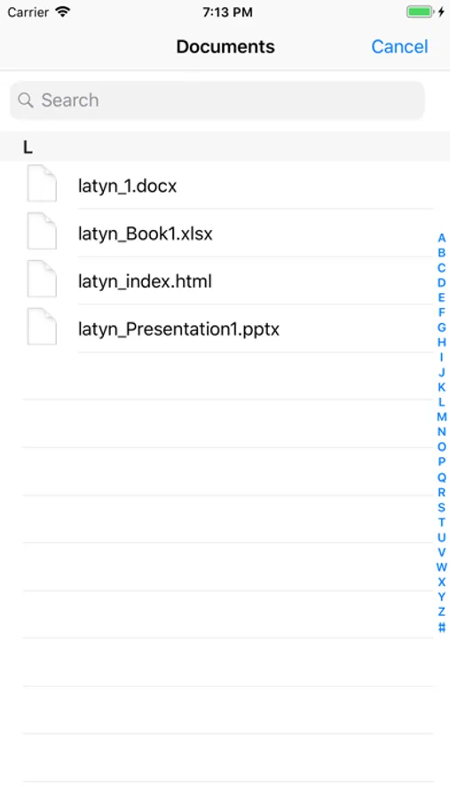 Screenshot 10