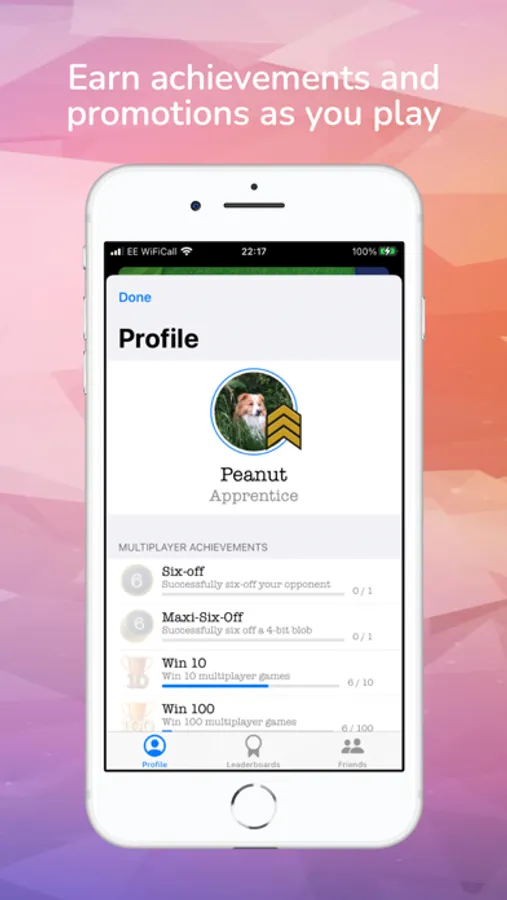 Screenshot 7