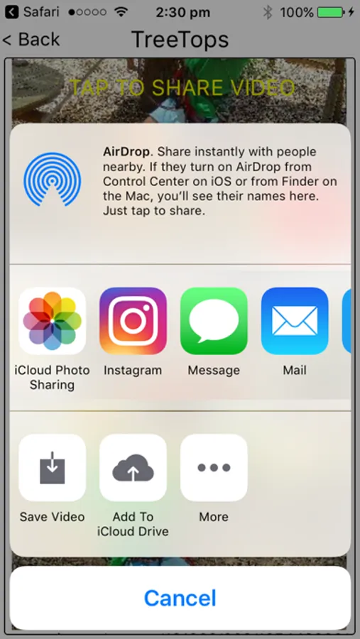 Screenshot 7