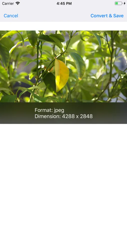 Screenshot 3
