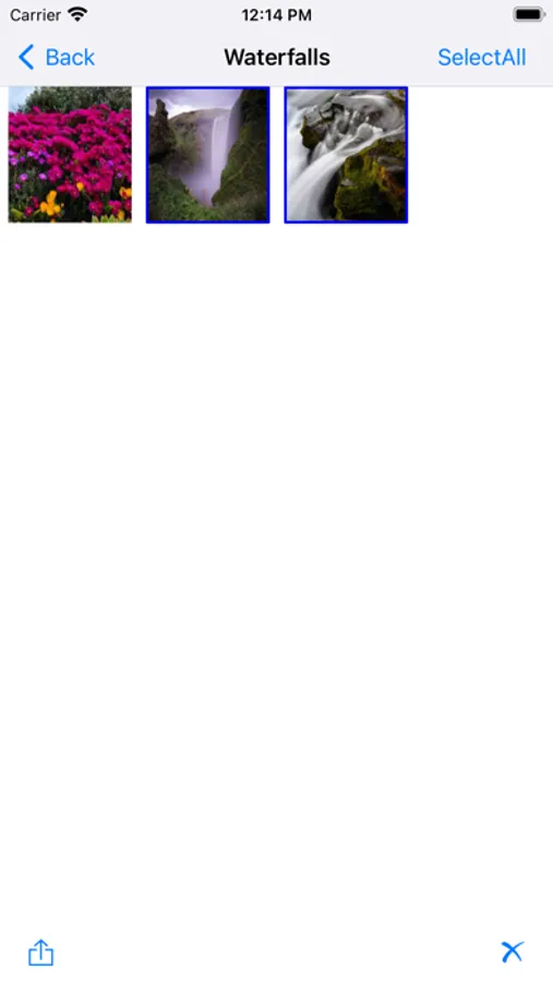 Screenshot 8