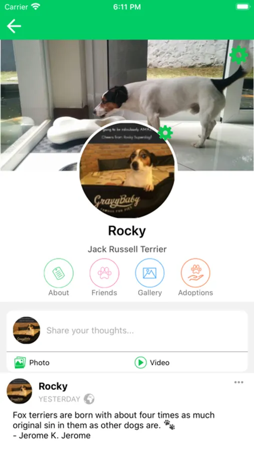 Screenshot 6