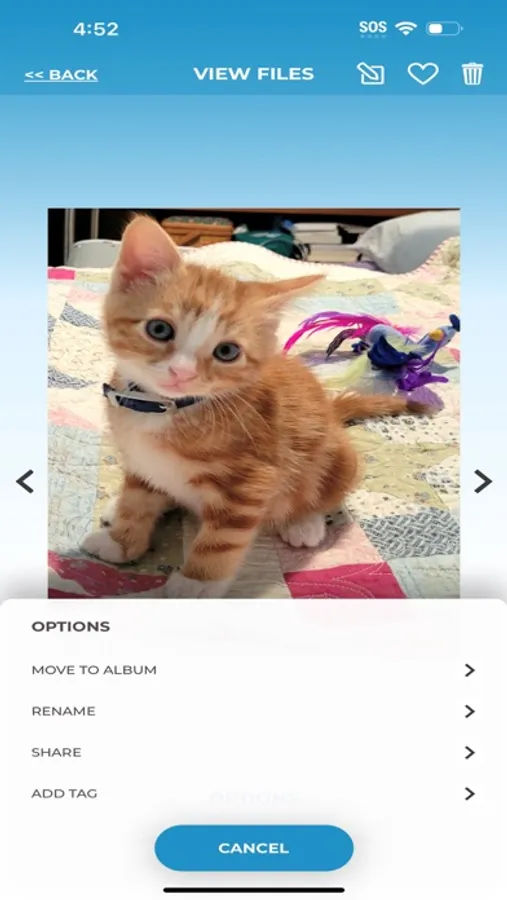 Screenshot 6